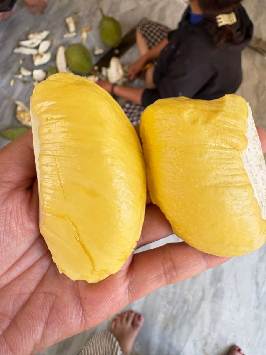 Nguyên nhân gây sượng nước và Cách xử lý và phòng ngừa