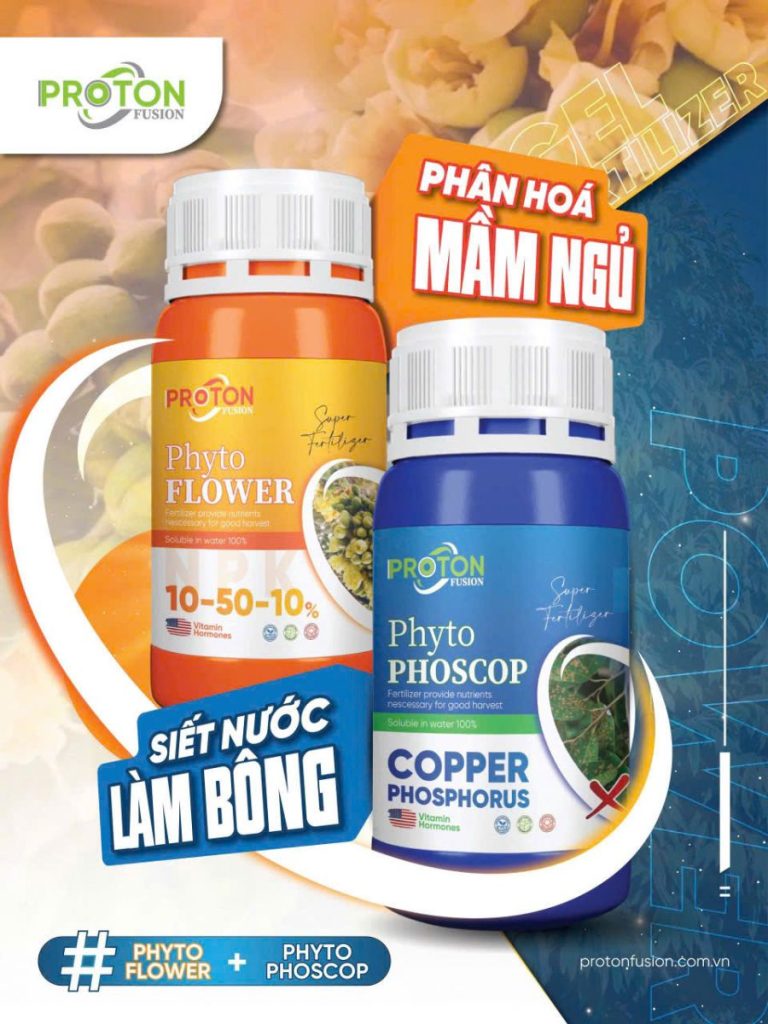 BỘ ĐÔI SIẾT NƯỚC – LÀM BÔNG – PHÂN HÓA MẦM NGỦ
