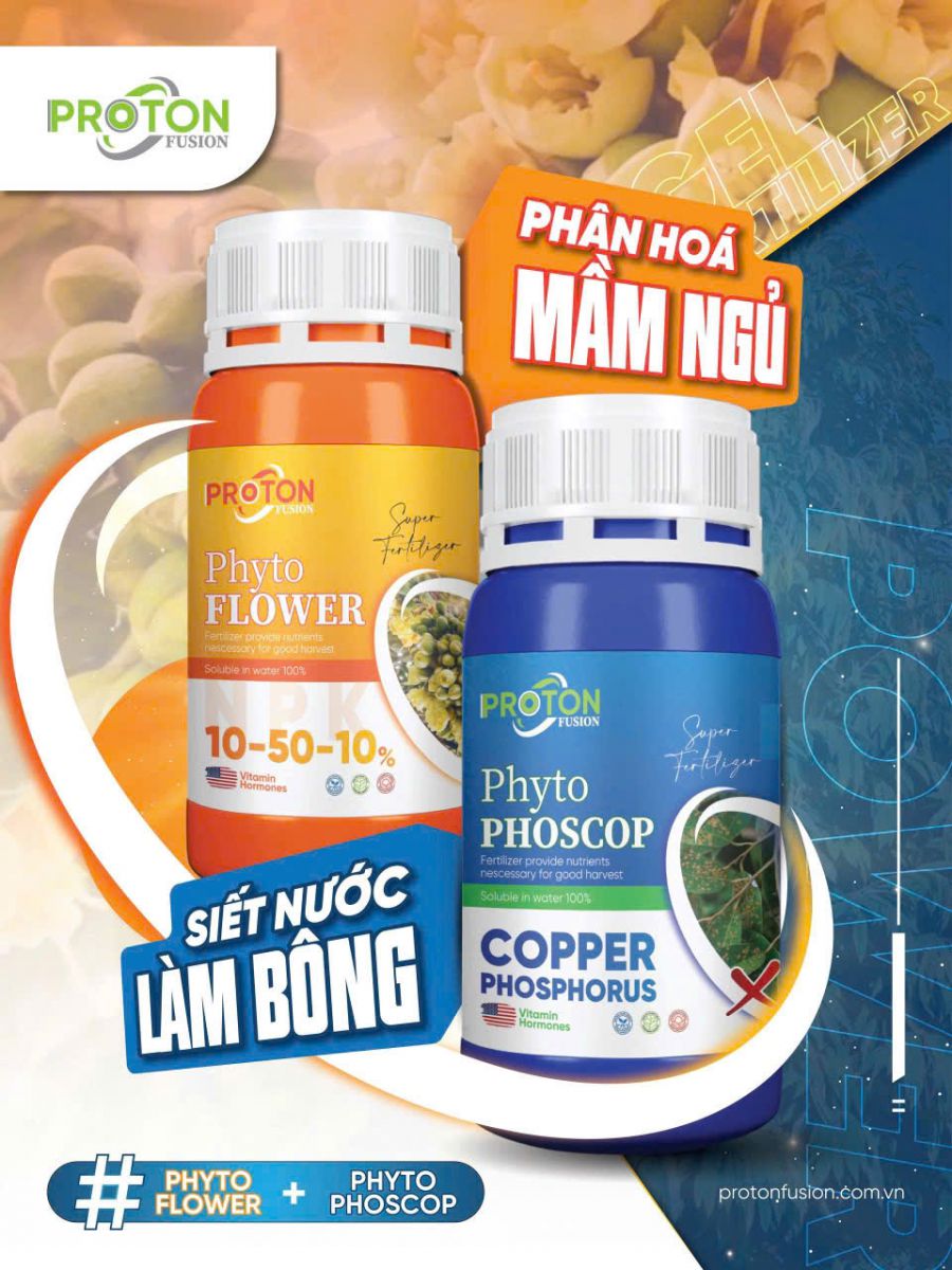 BỘ ĐÔI SIẾT NƯỚC – LÀM BÔNG – PHÂN HÓA MẦM NGỦ