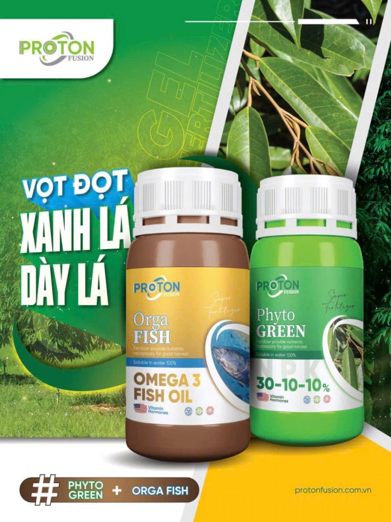 BỘ ĐÔI VƯỢT TRỘI – PHYTO GREEN + ORGA FISH