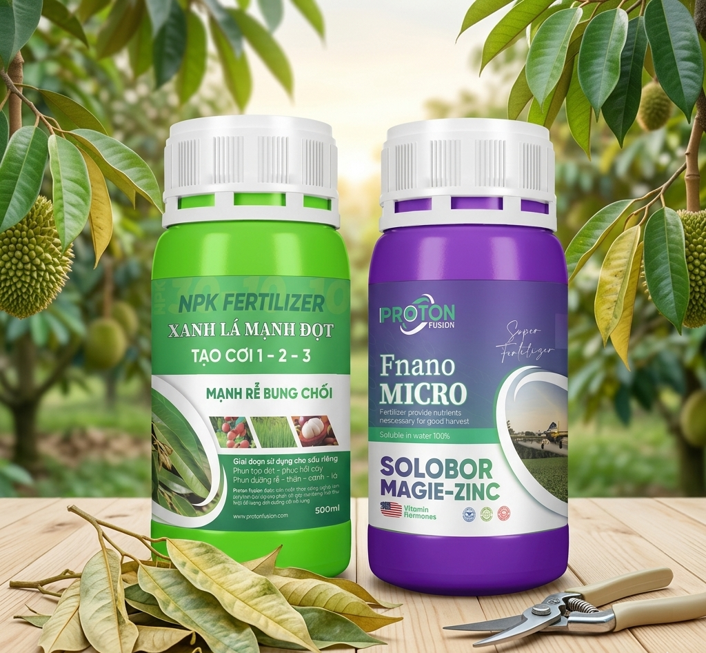 Sầu Riêng Bị Vàng Lá: Nguyên Nhân & Cách Phục Hồi