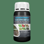 Roots Dry Care